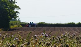 AHDB launches Carbon Week to support farmers